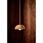 Eronex pendellampe