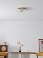 Ayla LED loftlampe