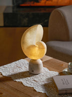 Conch alabast bordlampe