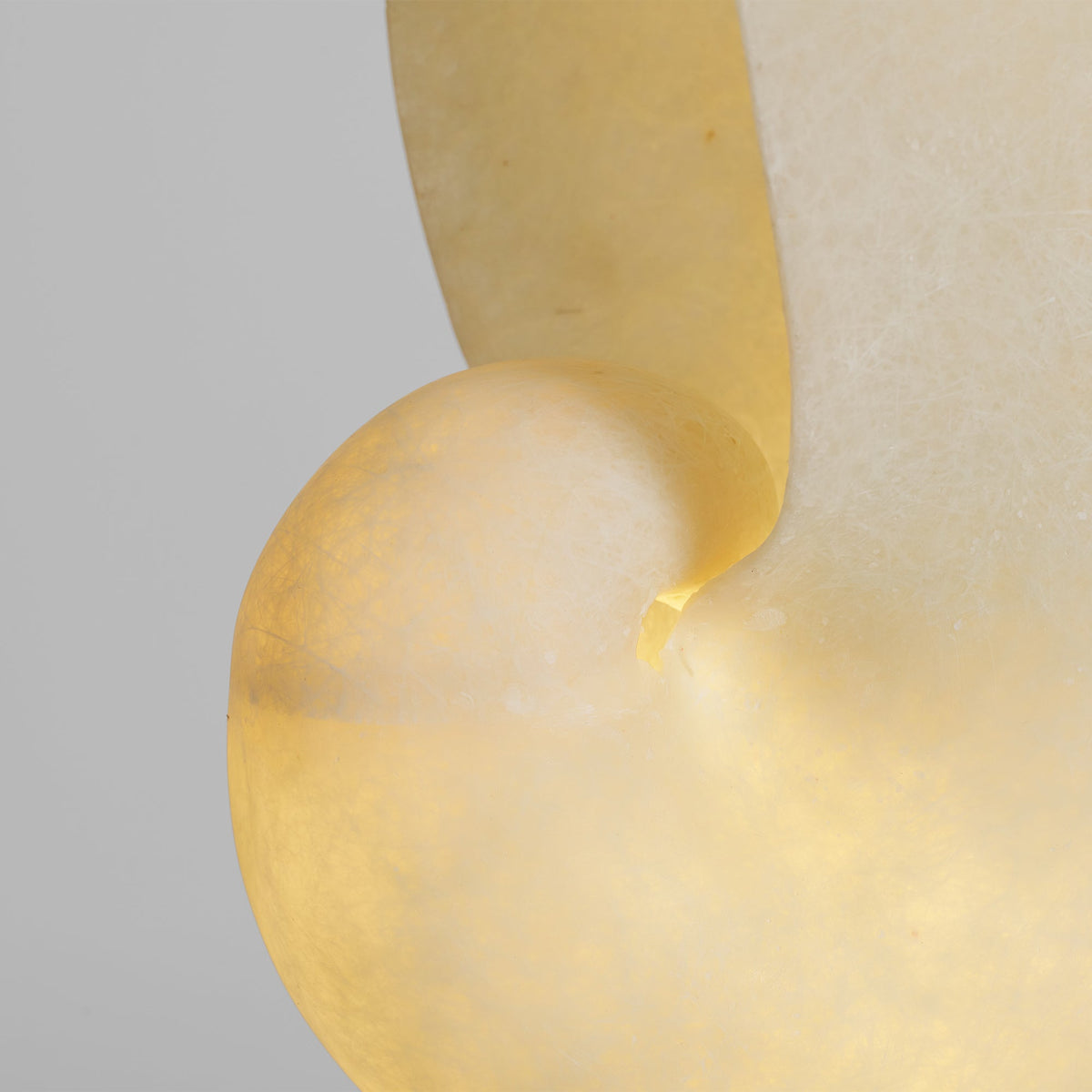 Conch alabast bordlampe