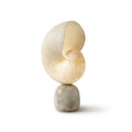 Conch alabast bordlampe