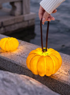 Pumpkin solar lampe