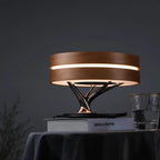 Circle of Life lampe