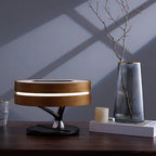 Circle of Life lampe